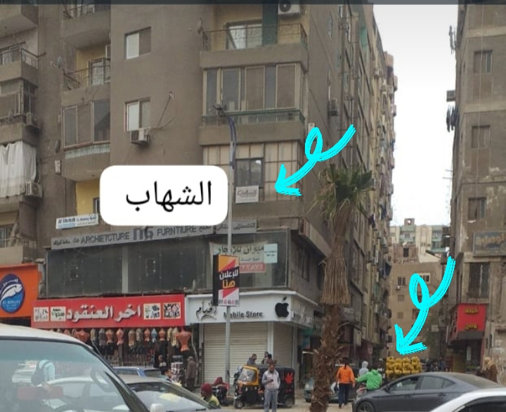 علوم الحيوان